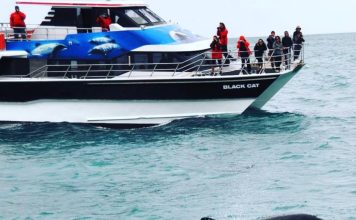 // Photo credit: Black Cat Cruises