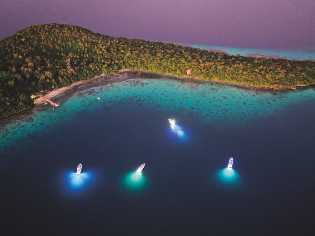 The flotilla anchored at night.