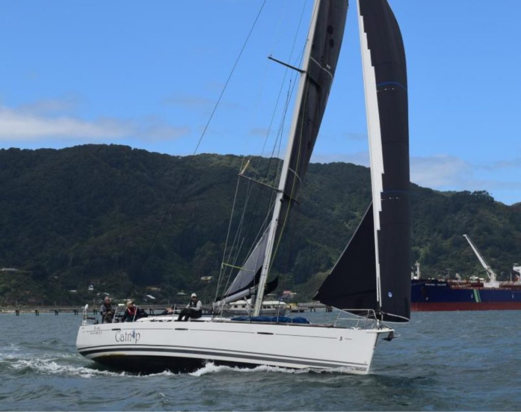 Catnip // Suellen Hurling (Live Sail Die)