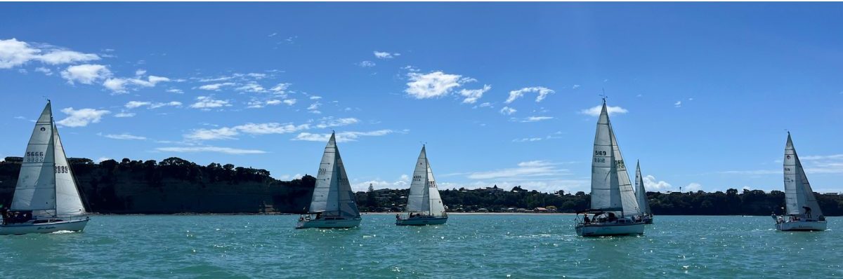 Blue Sapphire, Gentleman Joe, Pandour, Eyelure, Long John Silver, and Manawa (Real MacCoy just out of frame) // Photo credit: Penelope Wilson