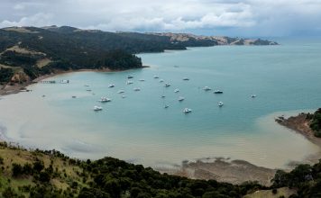 Annual Maritimo Muster New Zealand and super successful Auckland Boat Show 2025 Maritimo Muster, Waiheke Island // Photo credit: Maritimo