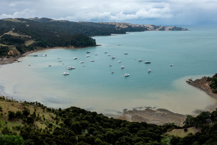 2025 Maritimo Muster, Waiheke Island // Photo credit: Maritimo