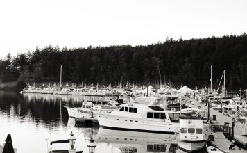 Line-up of old boats // Photo credit: Grand Banks Yachts (Grand Banks celebrates 70 years of pioneering long-range cruising yachts)