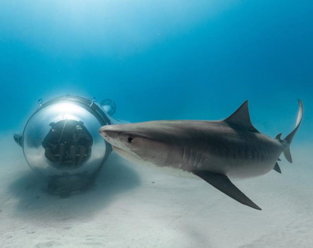 U-Boat Worx unveils super sub during exclusive 24-hour exploration experience