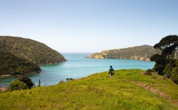 Hiking Whangamumu track with the view of Whangamumu harbour, Russell, Bay of Island // Photo credit: Janice Chen
