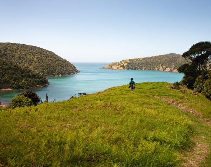 Hiking Whangamumu track with the view of Whangamumu harbour, Russell, Bay of Island // Photo credit: Janice Chen