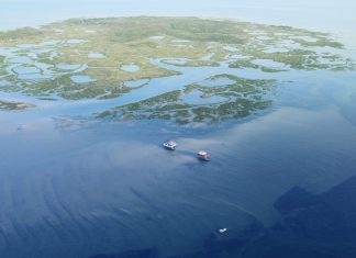 Electric boating awards highlight real progress