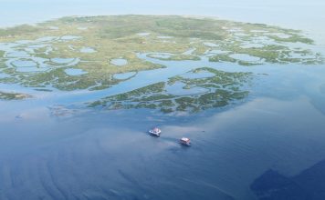 Electric boating awards highlight real progress