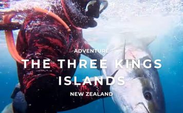 Three Kings spearfishing trip: chasing kingfish at New Zealand’s edge