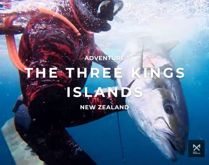 Three Kings spearfishing trip_ chasing kingfish at New Zealand’s edge