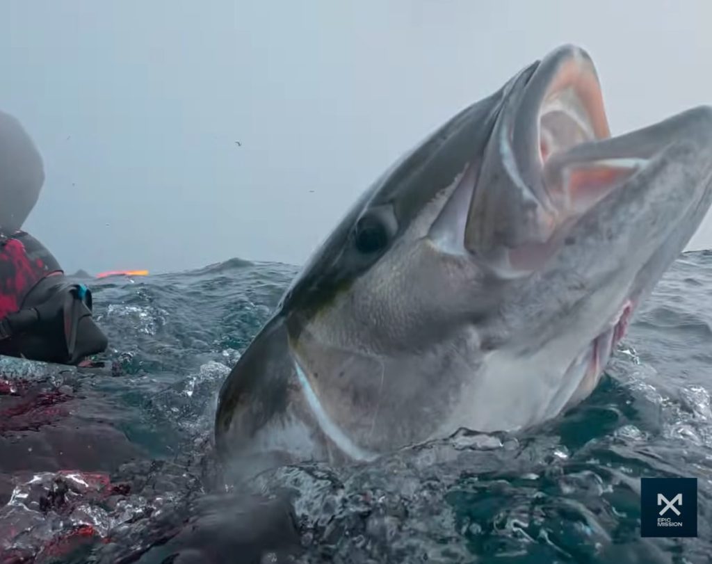 // Photo credit: EpicMissionTV