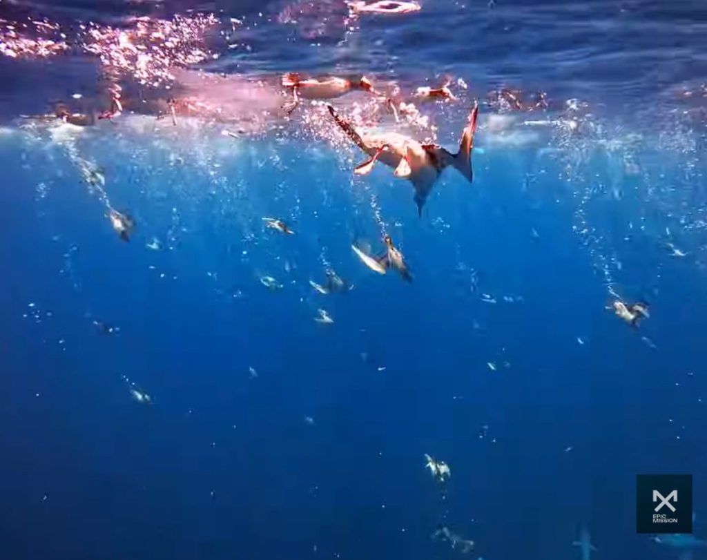 // Photo credit: EpicMissionTV