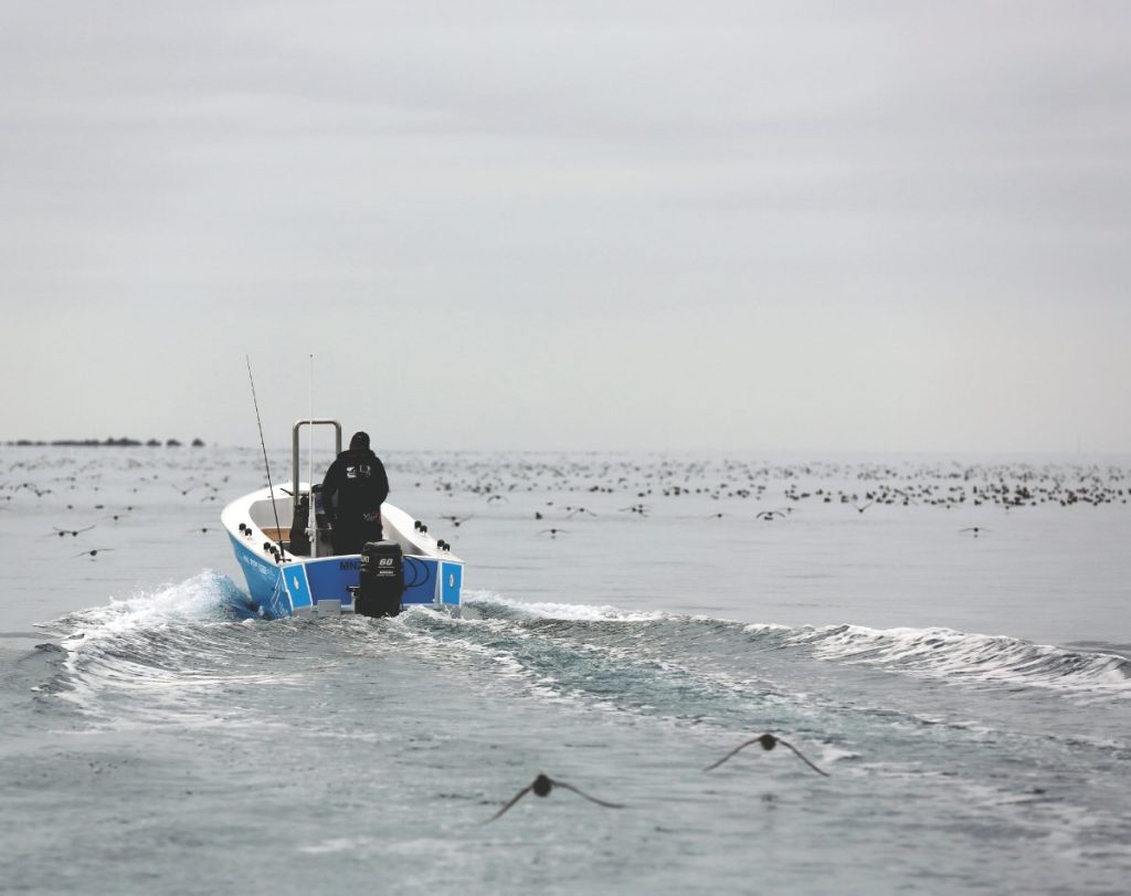 Slow down for large areas of bird activity.