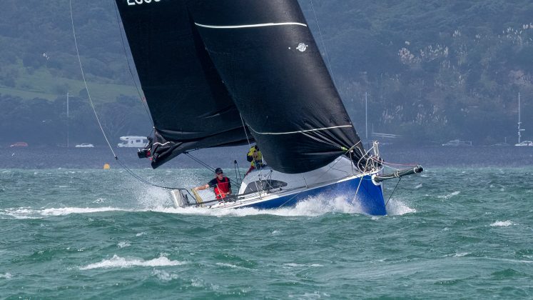 Start of the 2026 Three Kings Offshore Yacht Race. // Photo credit: Roger Mills / Boating New Zealand