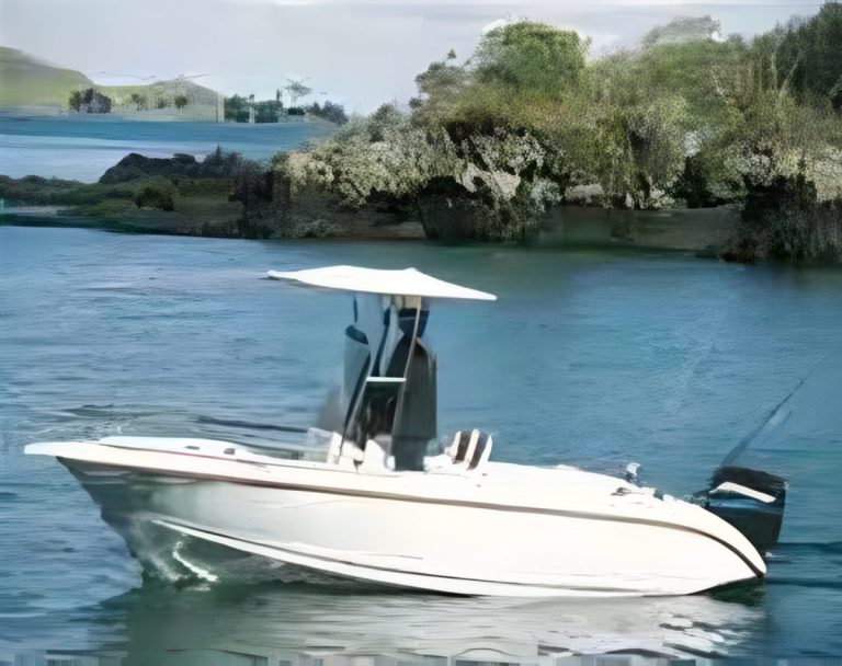 Mac Millennium 600
