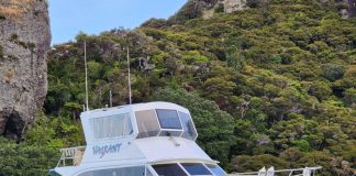 Vagrant, an excellent example of a Pelin Shikaree, is available for sale, listed on Tradeaboat // Vining Marine Group