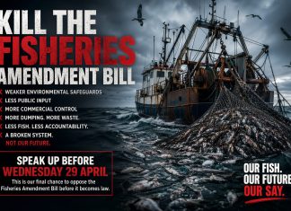 Kill the Amendment Bill Kill the Amendment Bill
