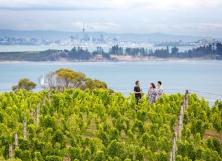 Waiheke Marina: where boating meets island living