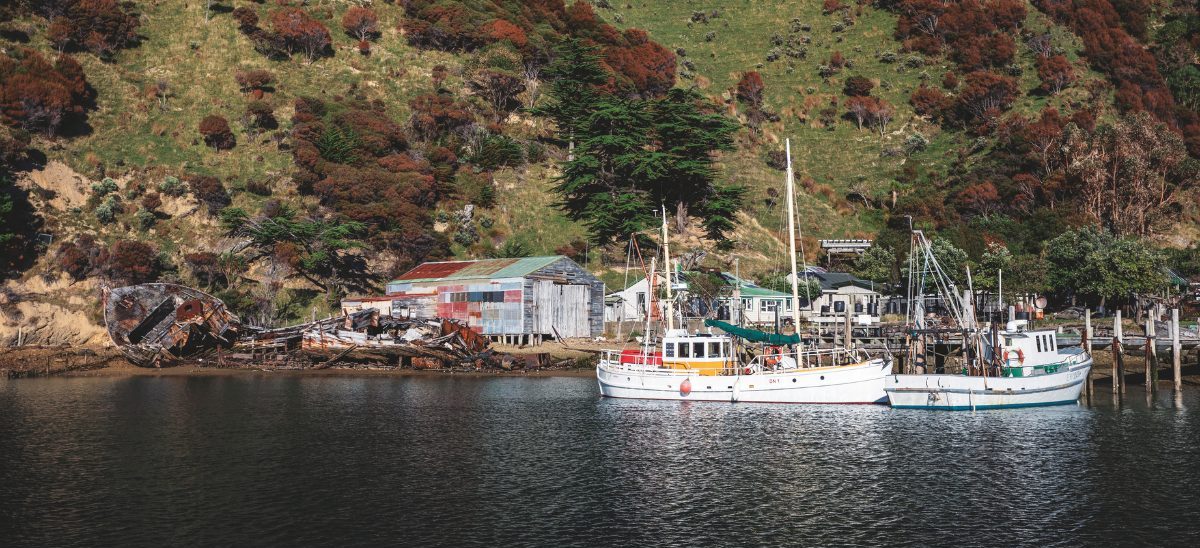 Boats, wrecks, and old buildings, many under restoration, at remote Whakatahuri. // Photo credit: Lesley Stone
