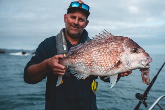 NZ Bait Masters // Daiwa New Zealand
