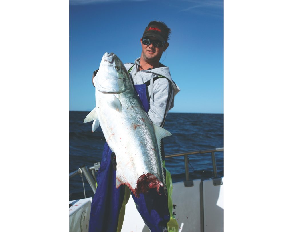 While anglers are often disappointed to lose part of their prize catch to sharks, what remains is often beautifully ‘bled’ and tastes fantastic! // The Catch, Mark Kitteridge