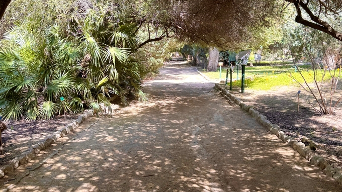 Cagliari: Places And Atmospheres To Discover