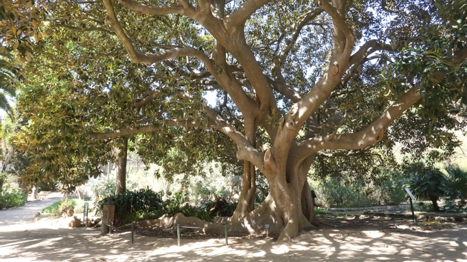 Cagliari: Places And Atmospheres To Discover