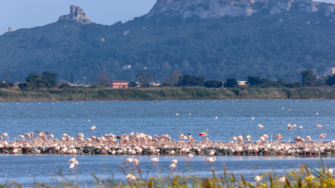 Cagliari: Places And Atmospheres To Discover