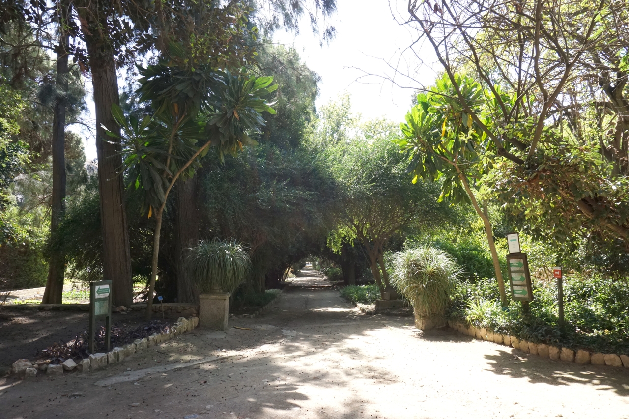 Cagliari: Places And Atmospheres To Discover
