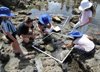 Yachting New Zealand earns Sport and Recreation Awards finalist nod for environmental education programme RŪNĀ