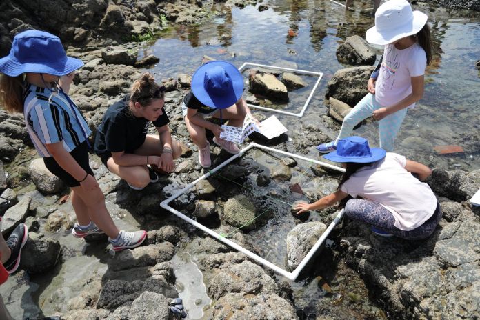 Yachting New Zealand earns Sport and Recreation Awards finalist nod for environmental education programme RŪNĀ