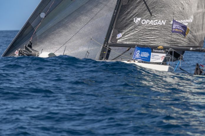 Two strategies emerge along the Iberian coast