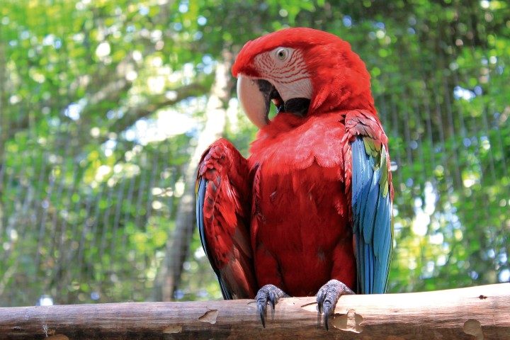 freebirdsparkspictures0 (1)_cmyk (Small)