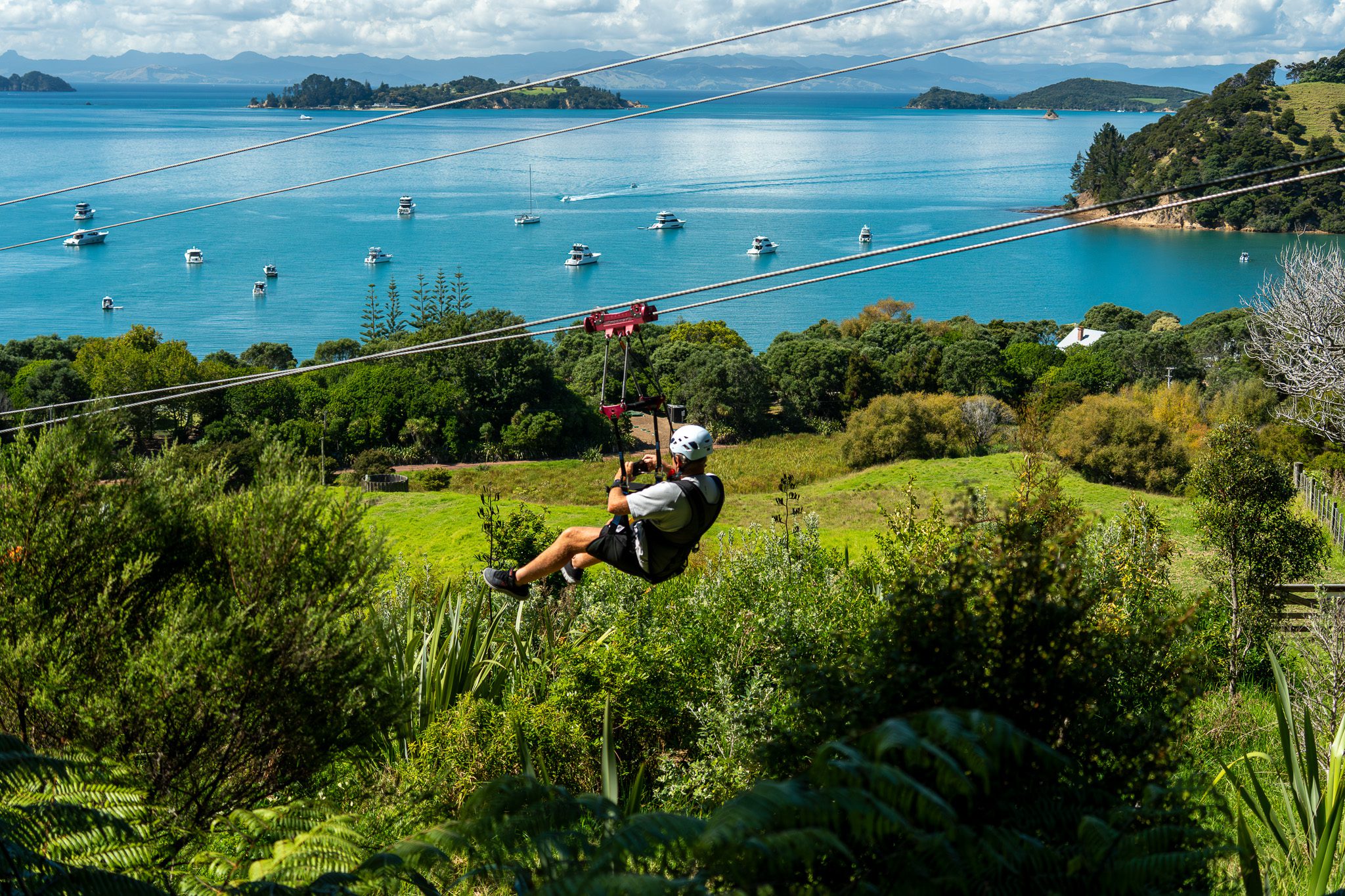 Maritimo Muster | Waiheke Island and Man O’ War Winery, New Zealand April 2026