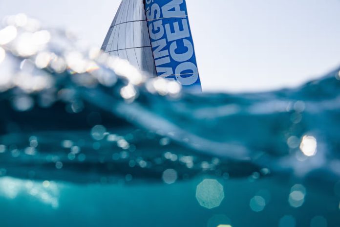 Southern sailors launch fightback in Figaro campaign