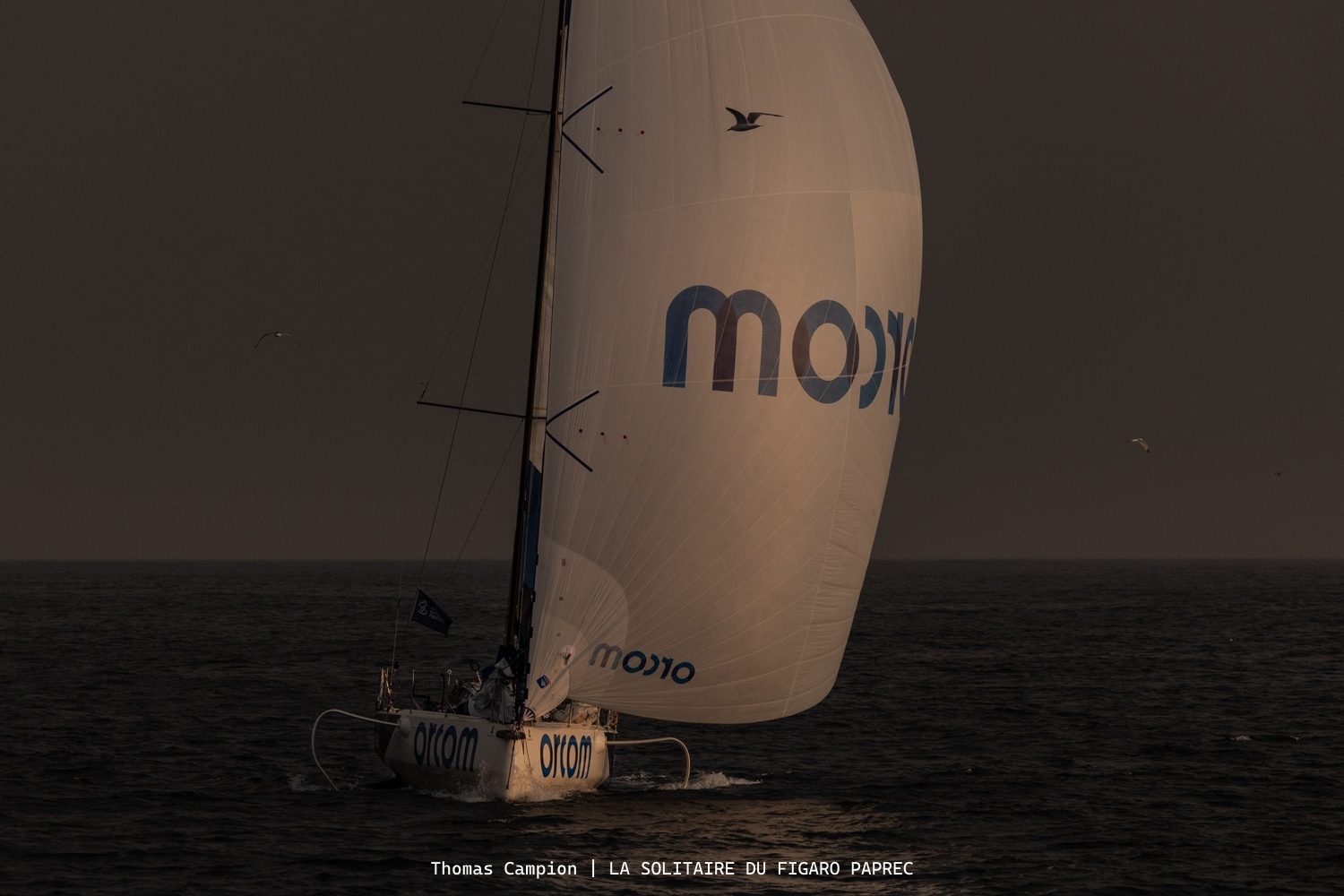 Wild night at sea! Dramatic conditions off Vigo