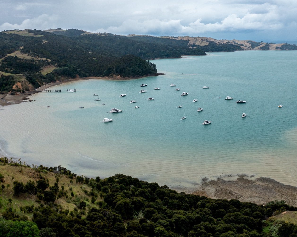 Maritimo returns to the Auckland Boat Show