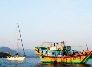 SHADY SAILS SHADY SAILS