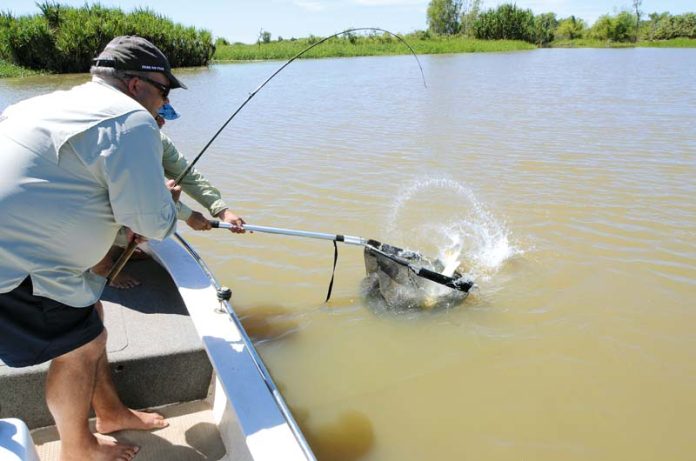 Yes! A good fish safely in the landing net. Time to relax the pressure on the rod and line now.