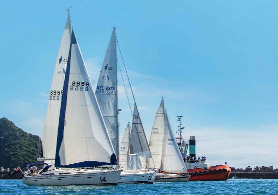 Trans- Tasman Solo Yacht Race 2023: Race entries roll in Trans- Tasman Solo Yacht Race 2023: Race entries roll in