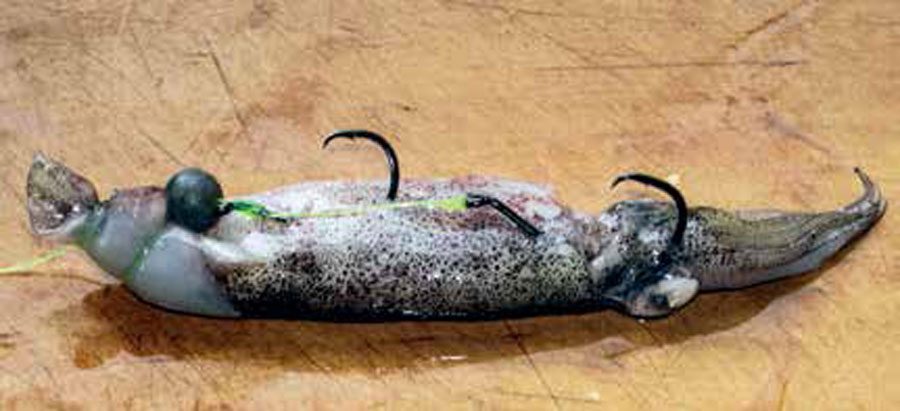 Festive family fishing essentials Festive family fishing essentials
