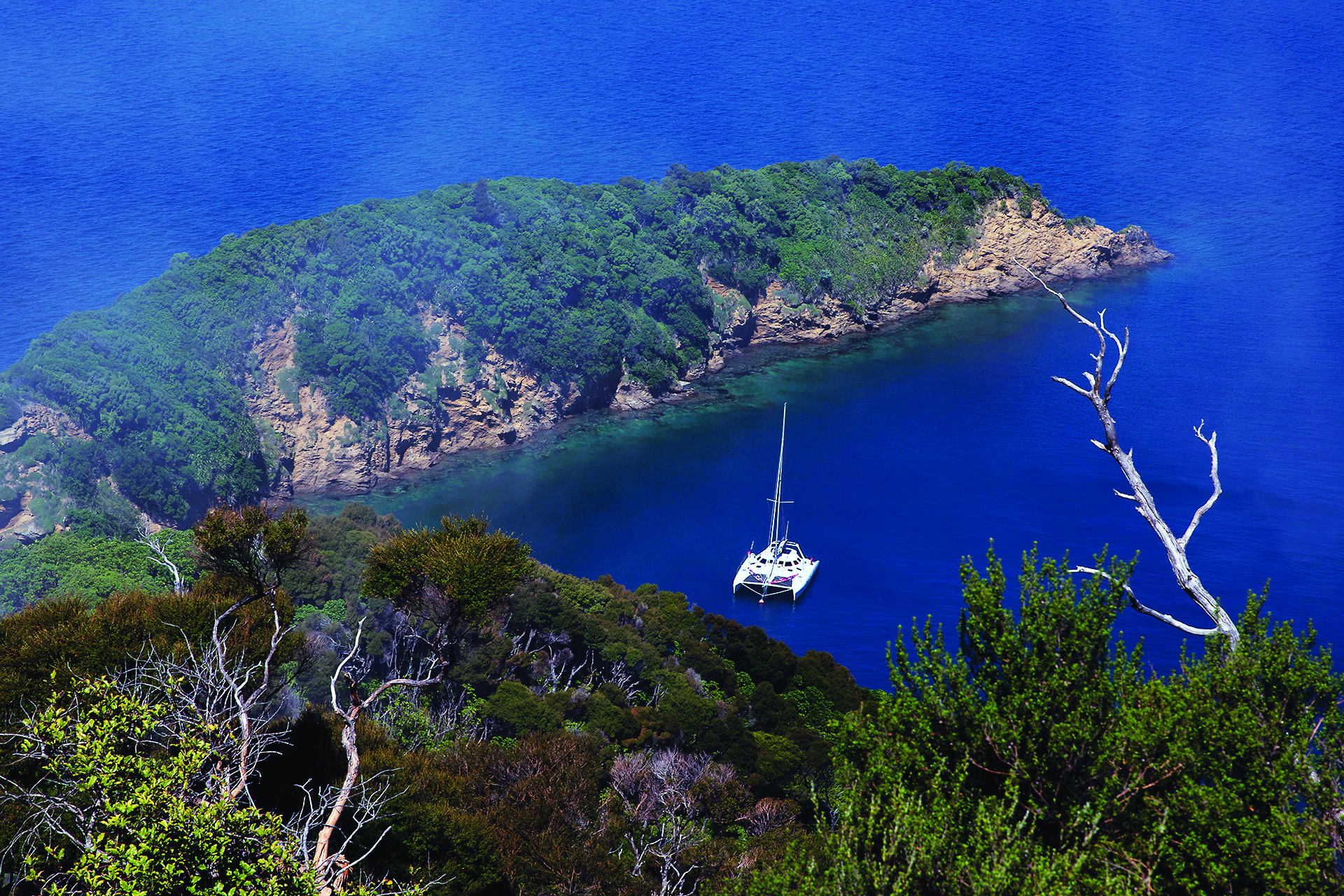 Skyborne moored at Motuara Island; The boat has been instrumental in creating the Up the Creek series for this magazine. // Photo credit: Alex and Lesley Stone