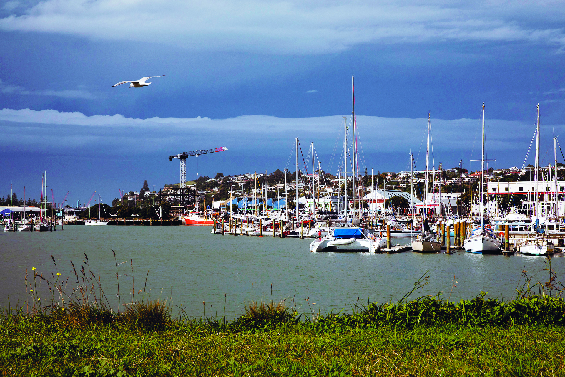 Storm brewing over Napier Marina. // Photo credit: Alex and Lesley Stone