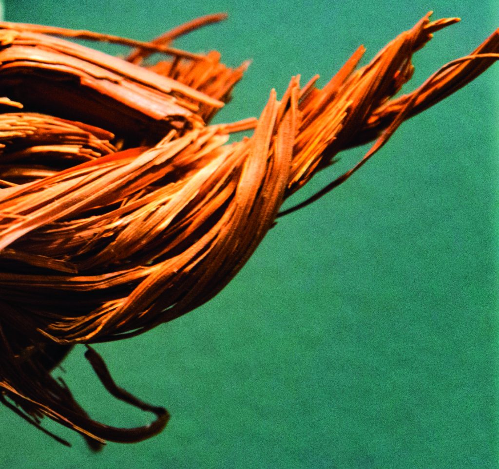 I can see orange-colored fibrous strands against a green background, but this does not appear to be a boating image - it looks more like rope fibers, plant material, or some other organic strands rather than a vessel or maritime scene // Photo credit: supplied.