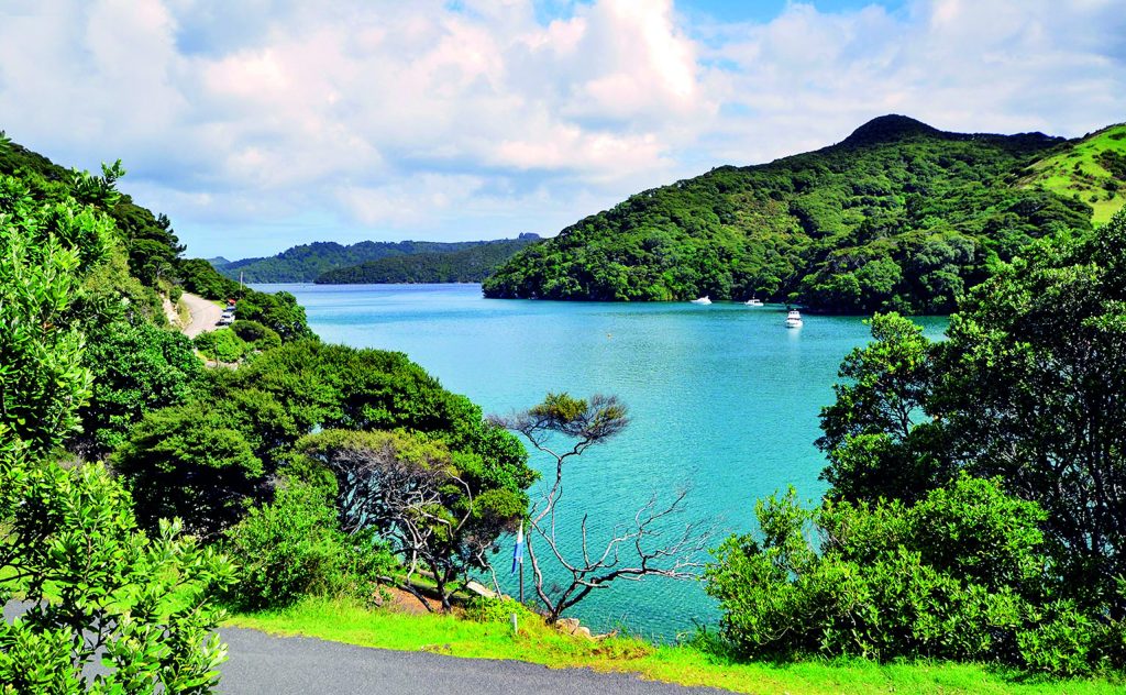 Feature - Maritimo destinations - North Island New Zealand. // Photo credit: Maritimo