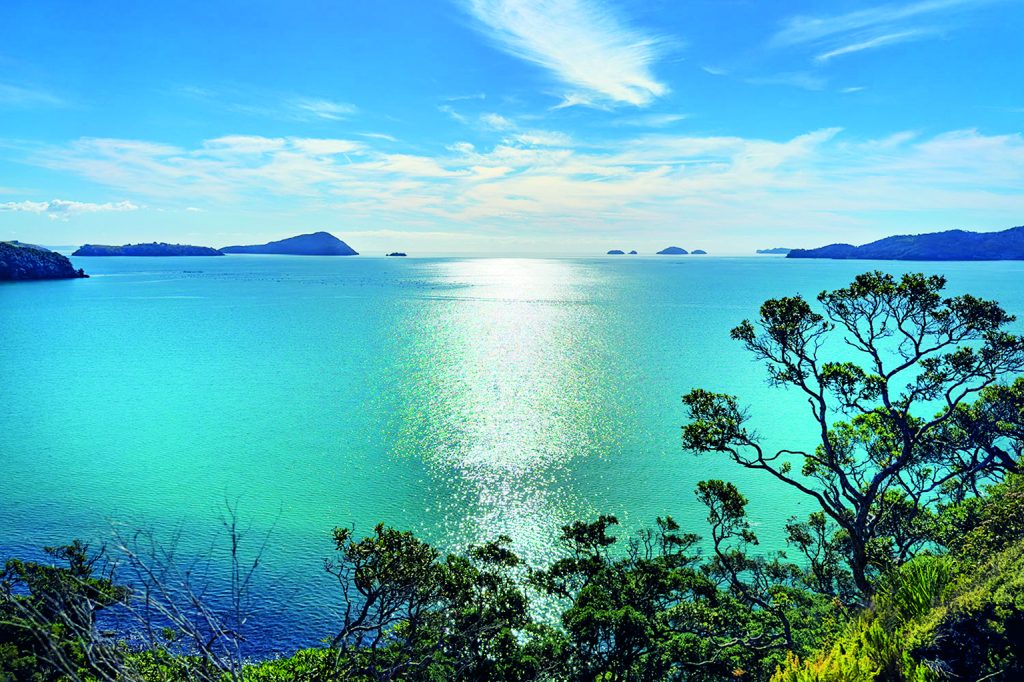 Coromandel Peninsula, New Zealand. Coastal view of many small islands. Motukakarikitahi (Rat), Motukopake, Motuoruhi (Goat), Ngamotukaraka (Three Kings) and Motorua (Rabbit) Islands. // Photo credit: Maritimo