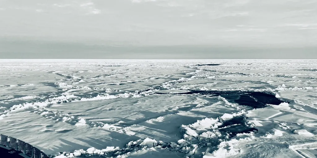 Arctic why the region is warming 4 times faster