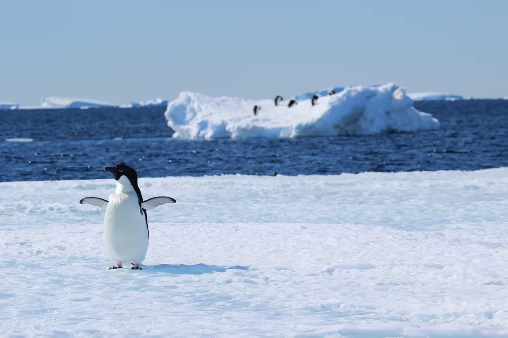 Richomme, Beyou, Simon, Dutreux, Sorel… They tell the story of the Vendée Arctique