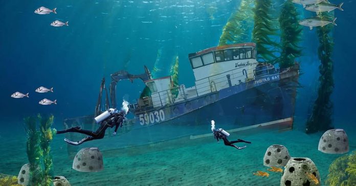 The Twofold Bay Charitable Trust, future image of Twofold Bay submerged off Pania Reef. // Photo credit: The Twofold Bay Charitable Trust