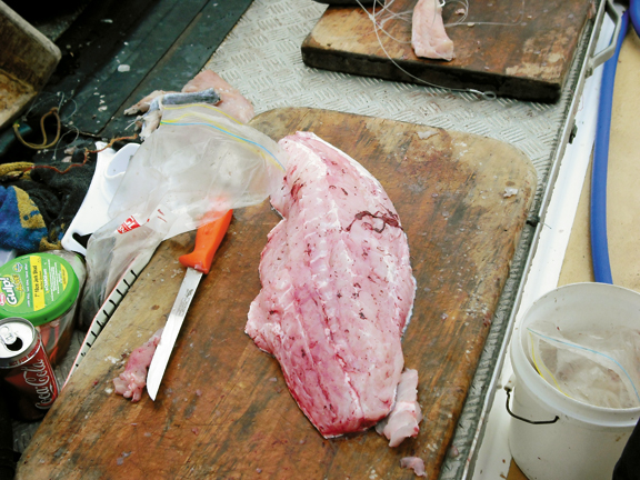 Cleaning and filleting a fish that’s been on ice will be a lot easier. // Photo credit: Terry Williams King
